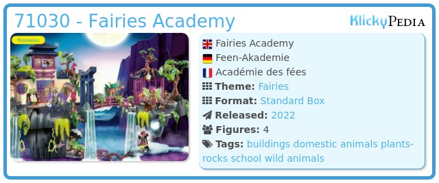 Playmobil 71030 - Fairies Academy