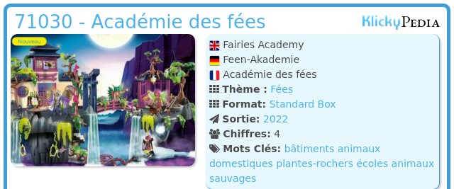 Playmobil 71030 - Académie des fées