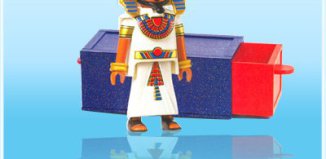Playmobil - 7967 - Le pharaon et la boite magique