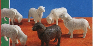 Playmobil - 7010v2 - 6 Sheep