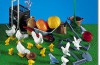 Playmobil - 7121 - Barnyard Animals & Accessories
