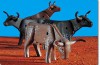 Playmobil - 7183 - Longhorn Cattle