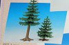 Playmobil - 7007 - Pine Trees