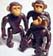 Playmobil - 7097 - Monkeys