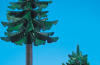Playmobil - 7134 - Abetos