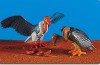 Playmobil - 7171 - 2 Vultures