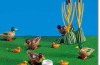 Playmobil - 7174 - Ducks