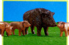Playmobil - 7265 - Wild Boar With 3 Young