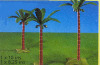 Playmobil - 7595 - 3 Palm Trees