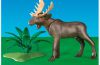 Playmobil - 7890 - Moose
