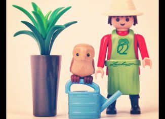 Playmobil - 30799362 - Lechuza gardener with owl