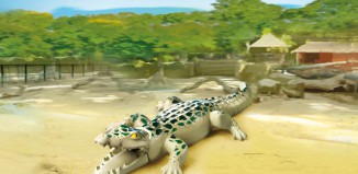 Playmobil - 6644 - Alligator with Babies