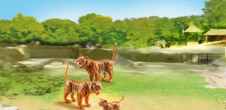 Playmobil - 6645 - Couple de tigres avec bébés