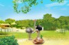 Playmobil - 6646 - Ostrich Couple with Nest