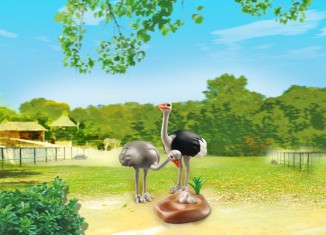 Playmobil - 6646 - Ostrich Couple with Nest
