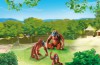 Playmobil - 6648 - Deux orangs-outangs avec bébé