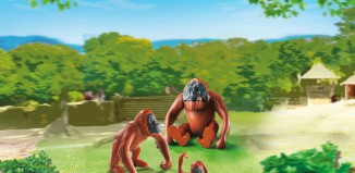 Playmobil - 6648 - Deux orangs-outangs avec bébé