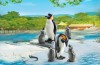 Playmobil - 6649 - Familia de pinguinos