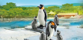Playmobil - 6649 - Famille de pingouins