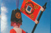 Playmobil - 3388-esp - redcoat guard / flag
