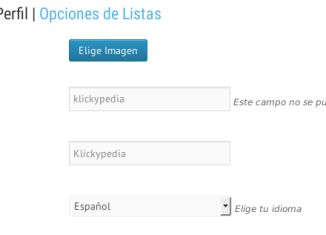 Playmobil - Me he equivocado en el nombre de usuario, ¿cómo puedo modificarlo?