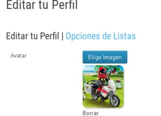 Playmobil - ¿Cuáles son las dimensiones máximas permitidas para la foto de perfil?