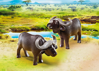 Playmobil - 6944 - Búfalos africanos