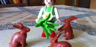 Playmobil - 0000v3 - Girl with rabbits - Coolee