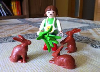 Playmobil - 0000v3 - Girl with rabbits - Coolee
