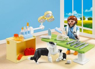 Playmobil - 5653-usa - Vet Visit Carry Case
