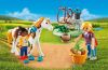 Playmobil - 9100 - Horse Grooming Carry Case