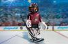 Playmobil - 9193-usa - NHL® Arizona Coyotes® Goalie