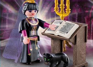 Playmobil - 70058 - Witch