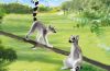 Playmobil - 70355 - Lemurs