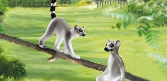 Playmobil - 70355 - Lemurs