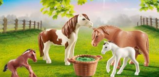 Playmobil - 70682 - Ponys mit Fohlen