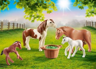Playmobil - 70682 - Ponies with Foals