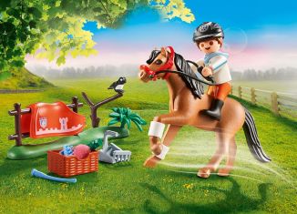 Playmobil - 70516 - Collectible Connemara Pony - Detail Playmobil - 70516 - Collectible Connemara Pony
