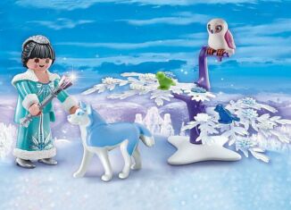 Playmobil - 70311 - Ice Princess Carry Case