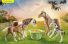 Playmobil - 71000 - 2 Island Ponys mit Fohlen