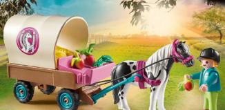 Playmobil - 70998 - Carriole avec enfant et poney