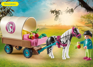 Playmobil - 70998 - Carriole avec enfant et poney