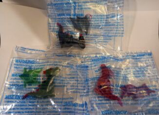 Playmobil - 30712954 - FP-Dragon (Baby Dragon)