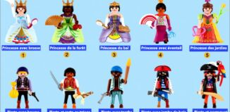 Playmobil - DELETEv8 - Pirate duplicate
