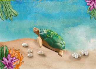 Playmobil - 71058 - Giant Turtle + Collectible Fun