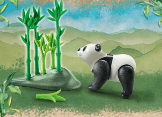 Playmobil - 71060 - Panda + Collectible Fun