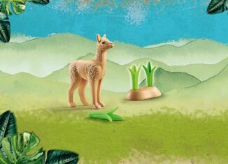 Playmobil - 71064 - Young Alpaca + Collectible Fun