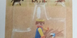Playmobil - 1733v1-pla - Indien bleu & cheval