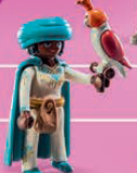 Playmobil - 70940v7 - Falknerin mit Falke