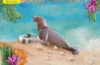 Playmobil - 71288 - Sea Lion